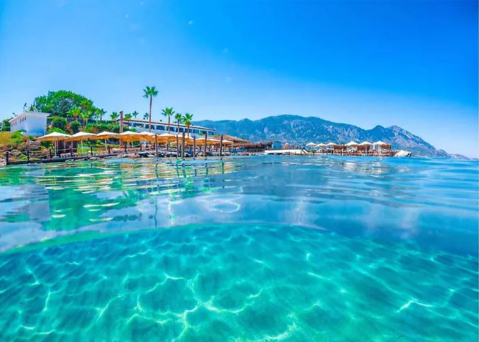 Suya Near Merit Casinos By Holidaykeys Hotel